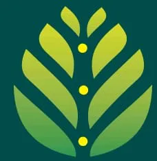 Dhana Inns International